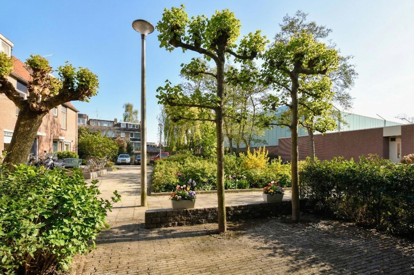 Photo 19 of Oranjehof 6