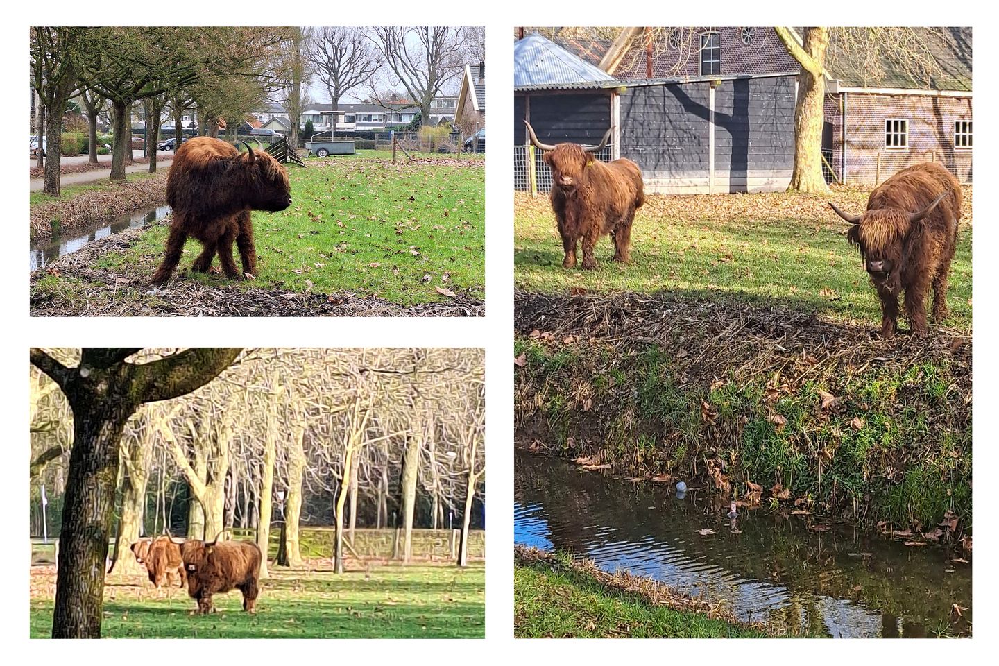 Foto 5 van Daslook 2