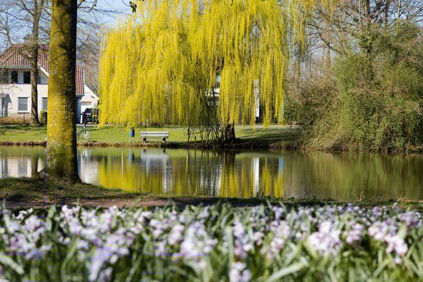 Foto 59 van John F. Kennedylaan 124