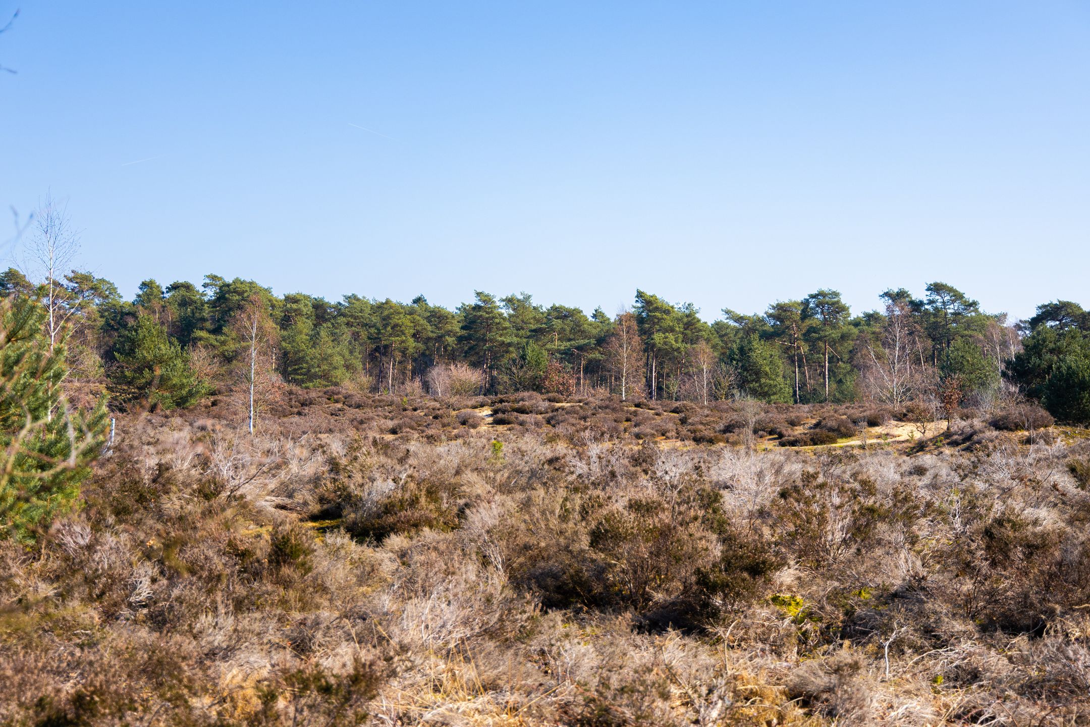 Foto 63 van John F. Kennedylaan 124