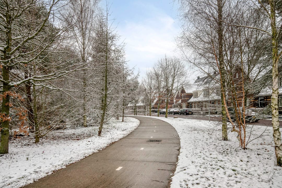 Foto 31 van Leembergerhout 11