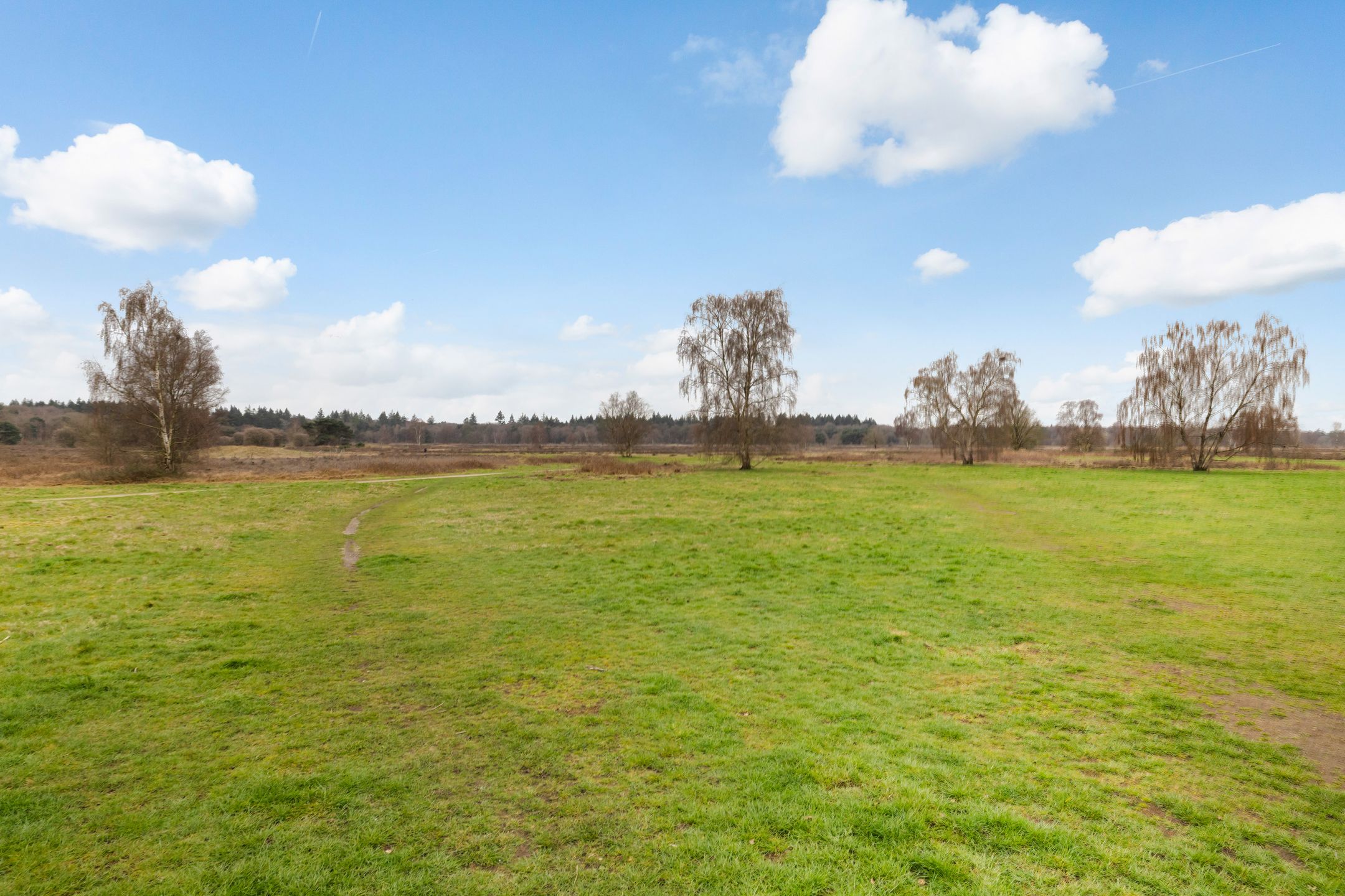 Foto 3 van Steynlaan 36