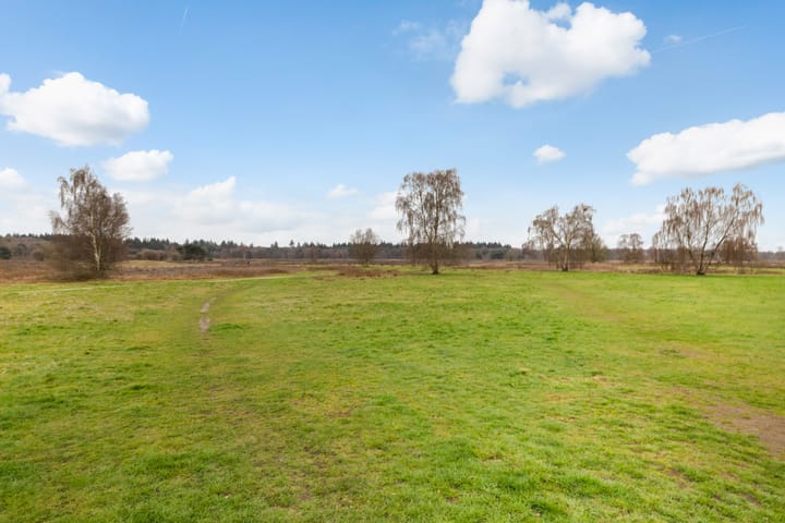 Foto 3 van Steynlaan 36