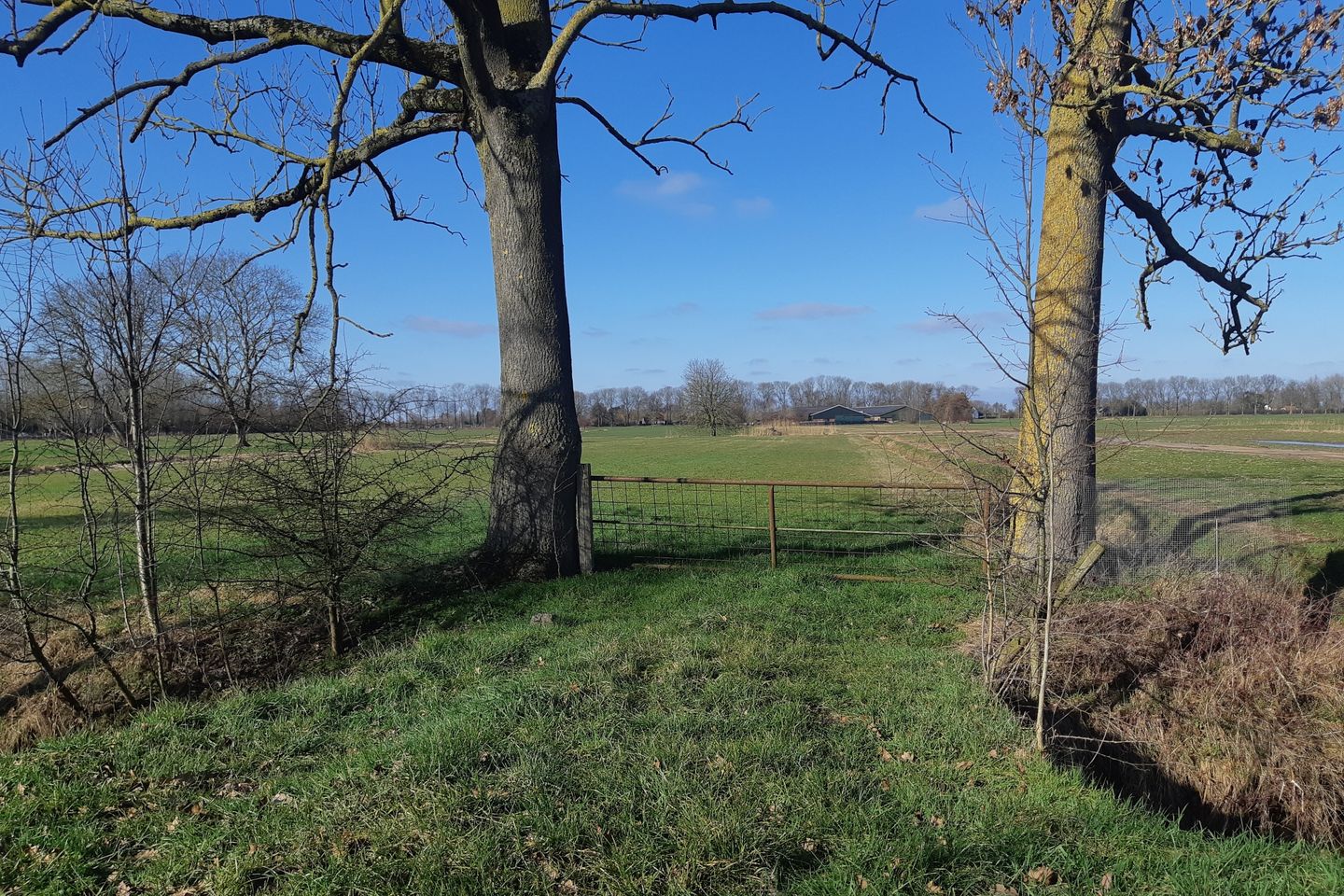 View photo 2 of Lange Dreef