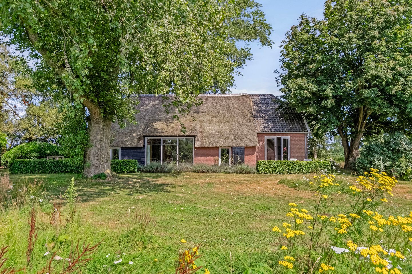 Foto 5 van Riegshoogtendijk 176