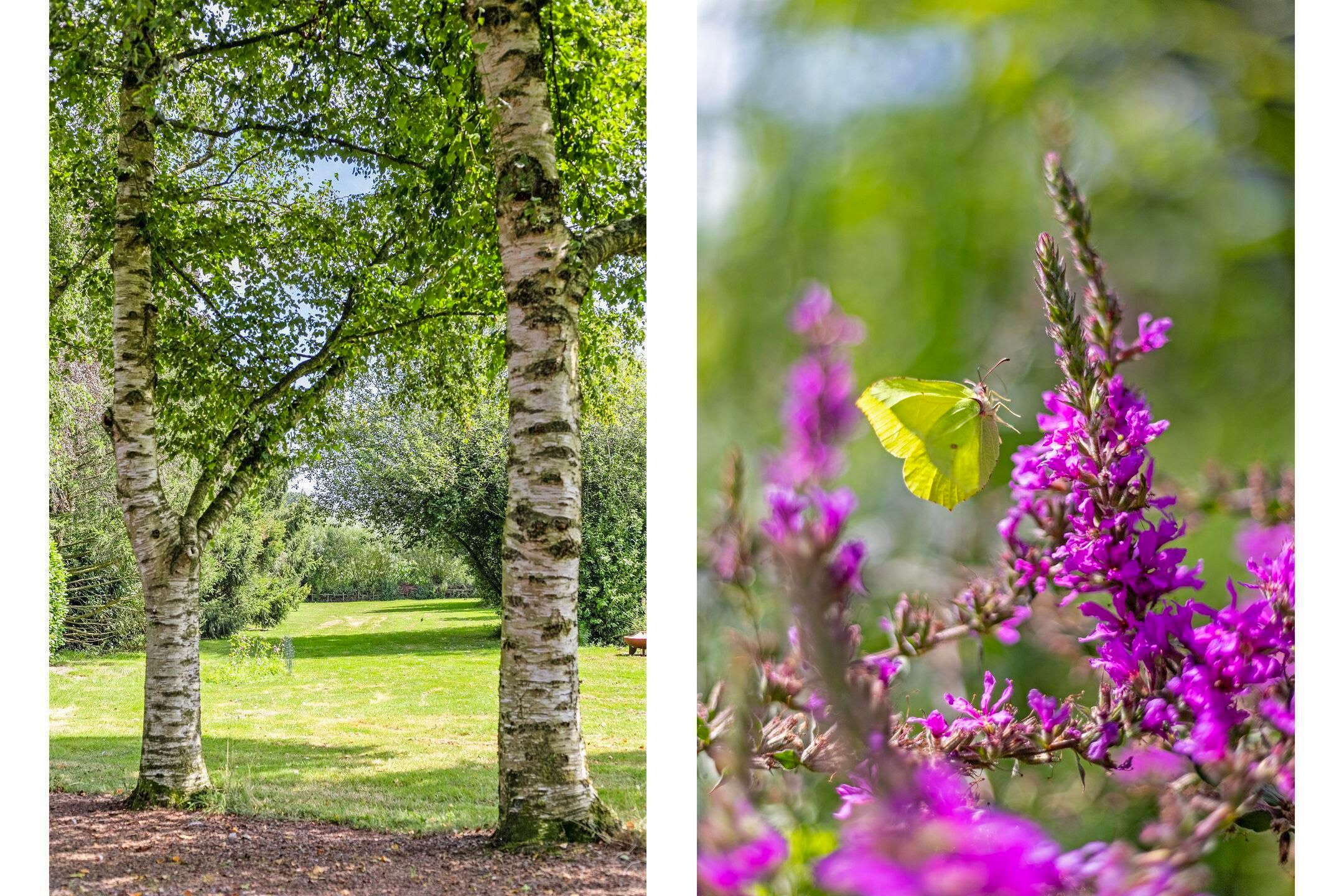 Foto 12 van Riegshoogtendijk 176