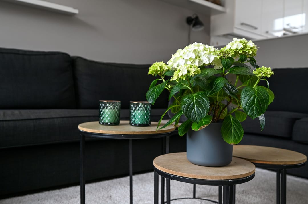 Foto 8 van Karekiet 20