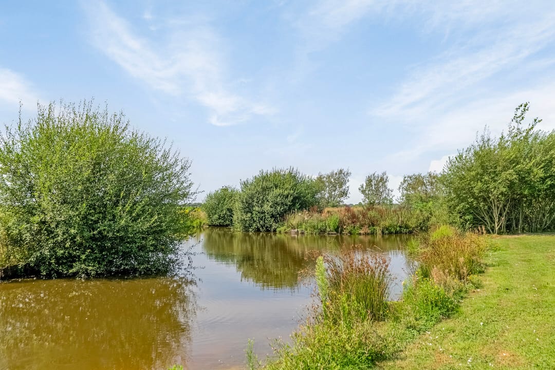 Foto 53 van Riegshoogtendijk 176