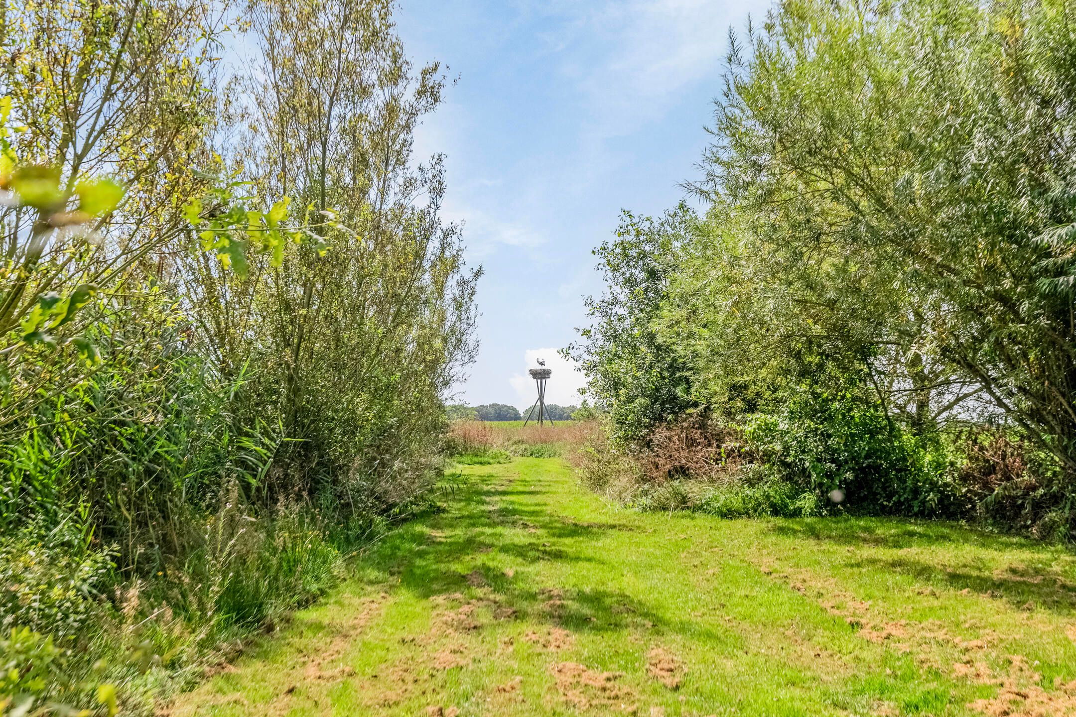 Foto 57 van Riegshoogtendijk 176