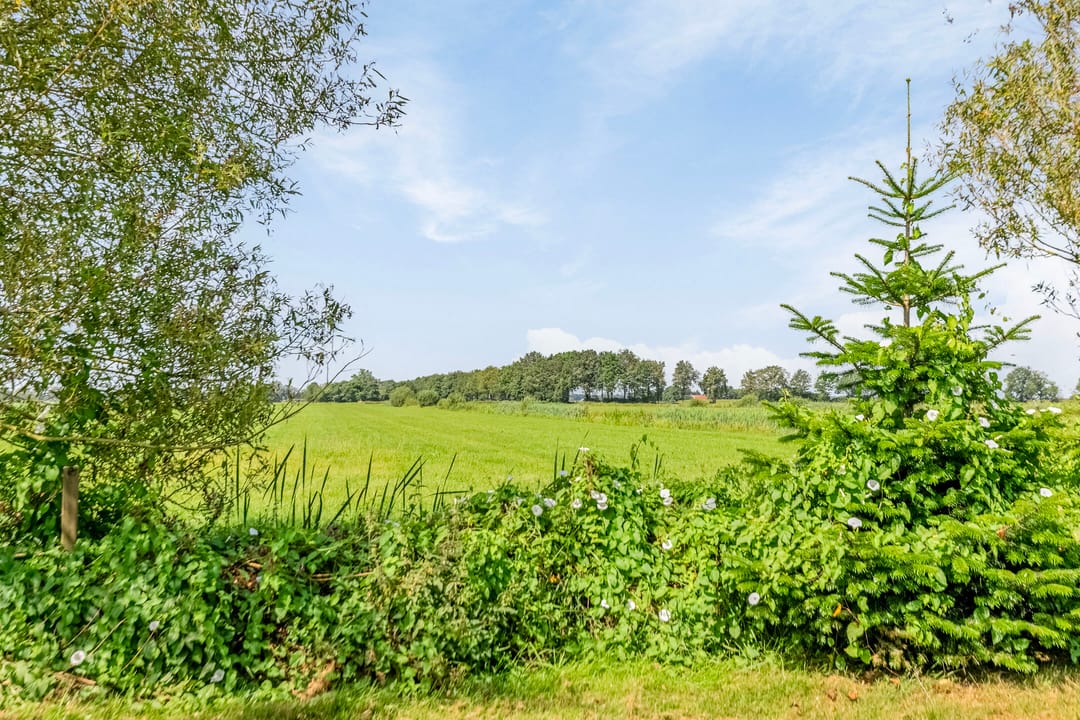 Foto 58 van Riegshoogtendijk 176