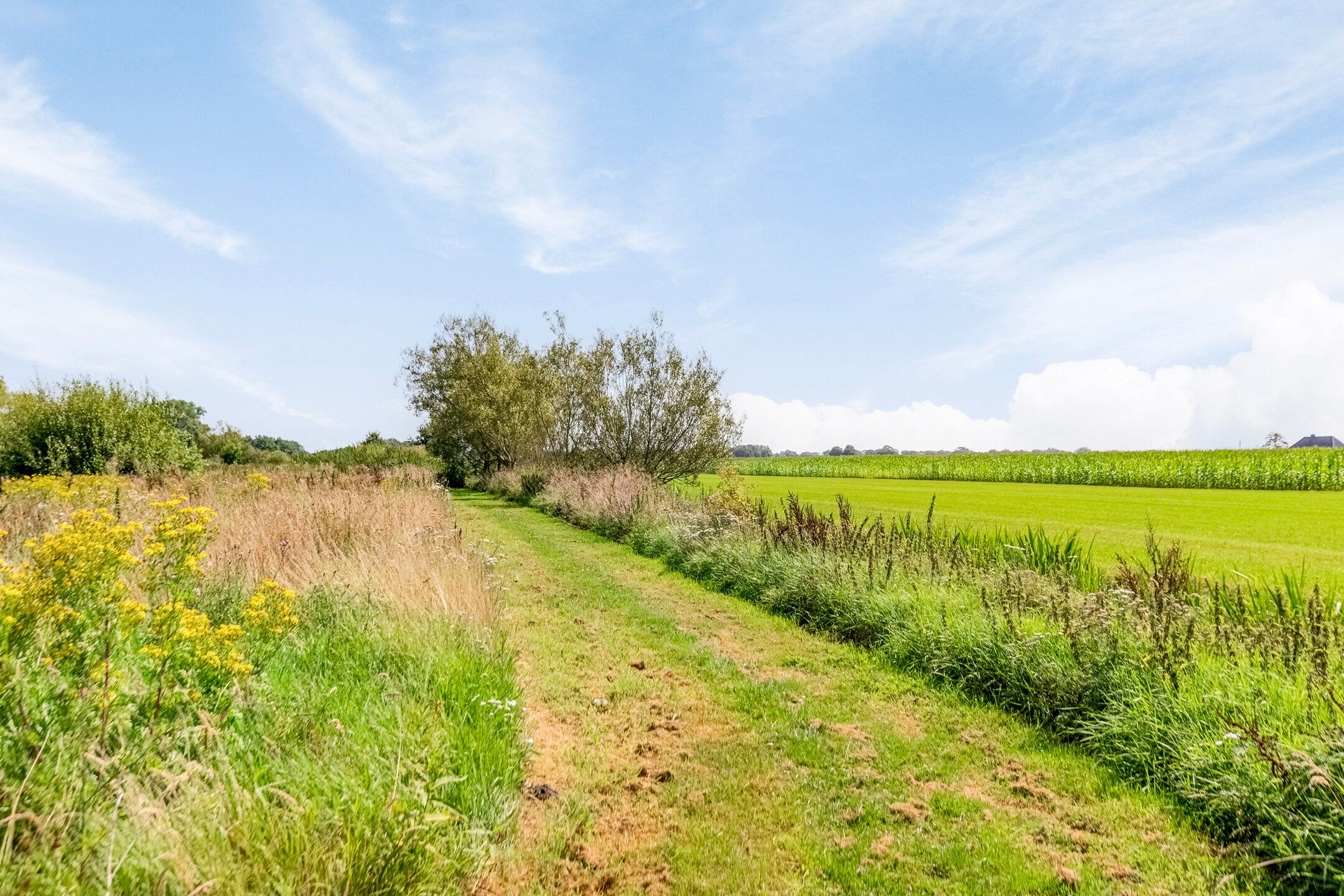 Foto 60 van Riegshoogtendijk 176