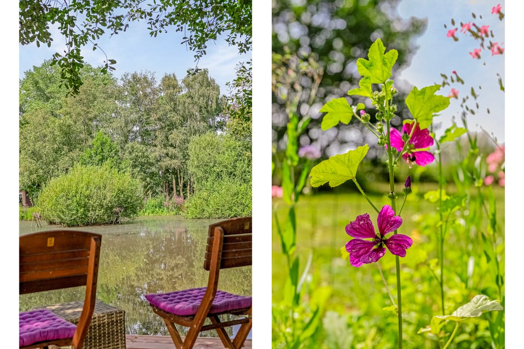 Foto 62 van Riegshoogtendijk 176