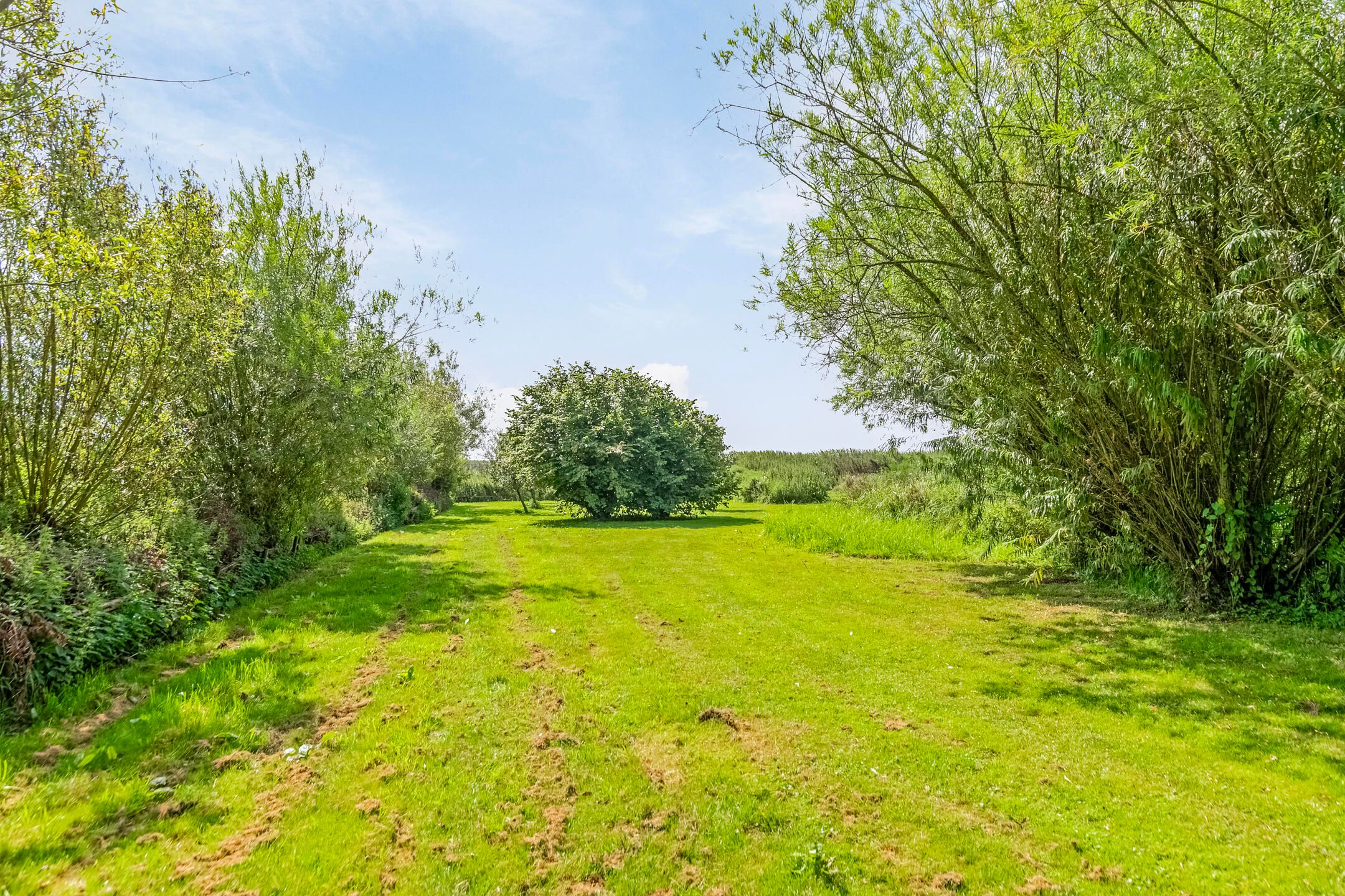 Foto 63 van Riegshoogtendijk 176