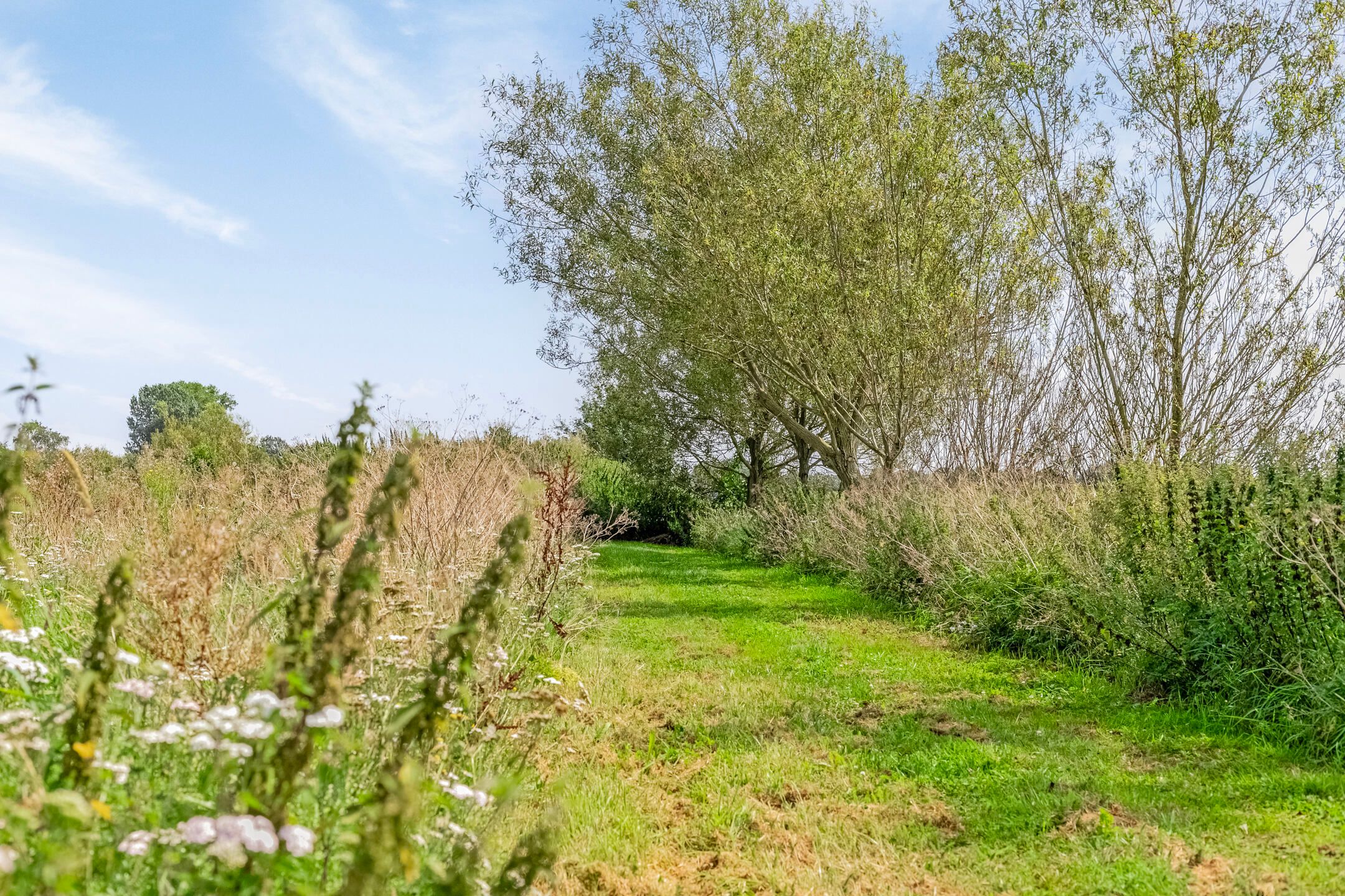 Foto 69 van Riegshoogtendijk 176