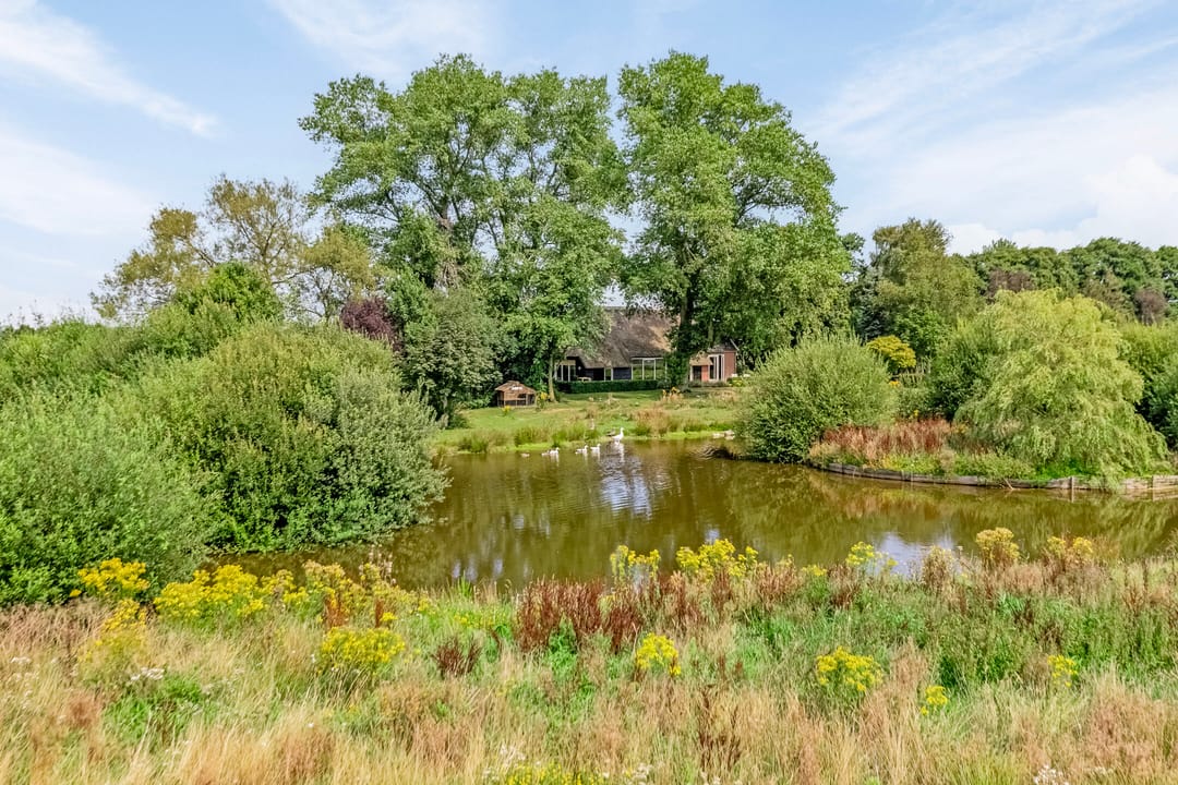 Foto 71 van Riegshoogtendijk 176