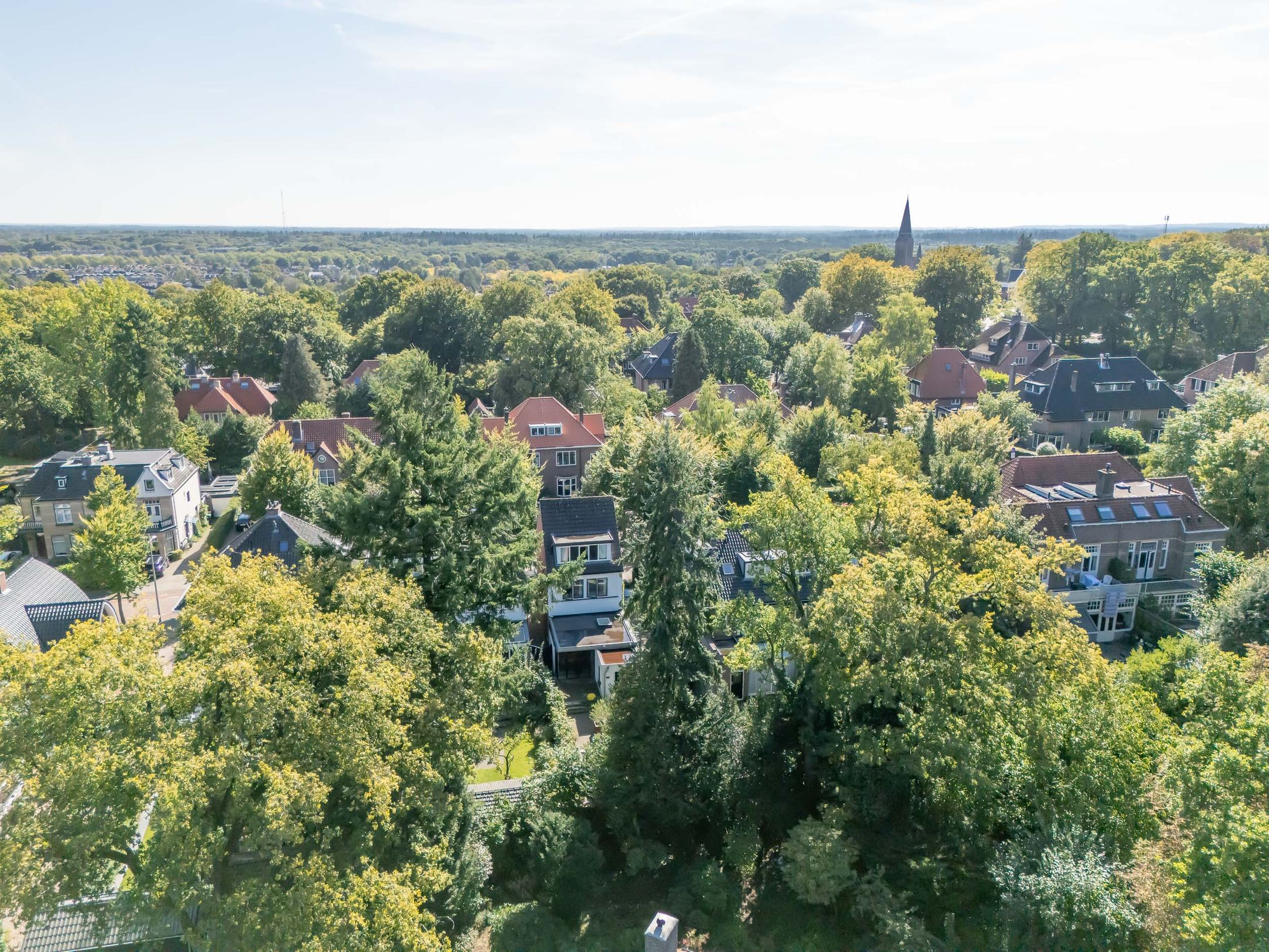 Foto 51 van Utrechtseweg 165