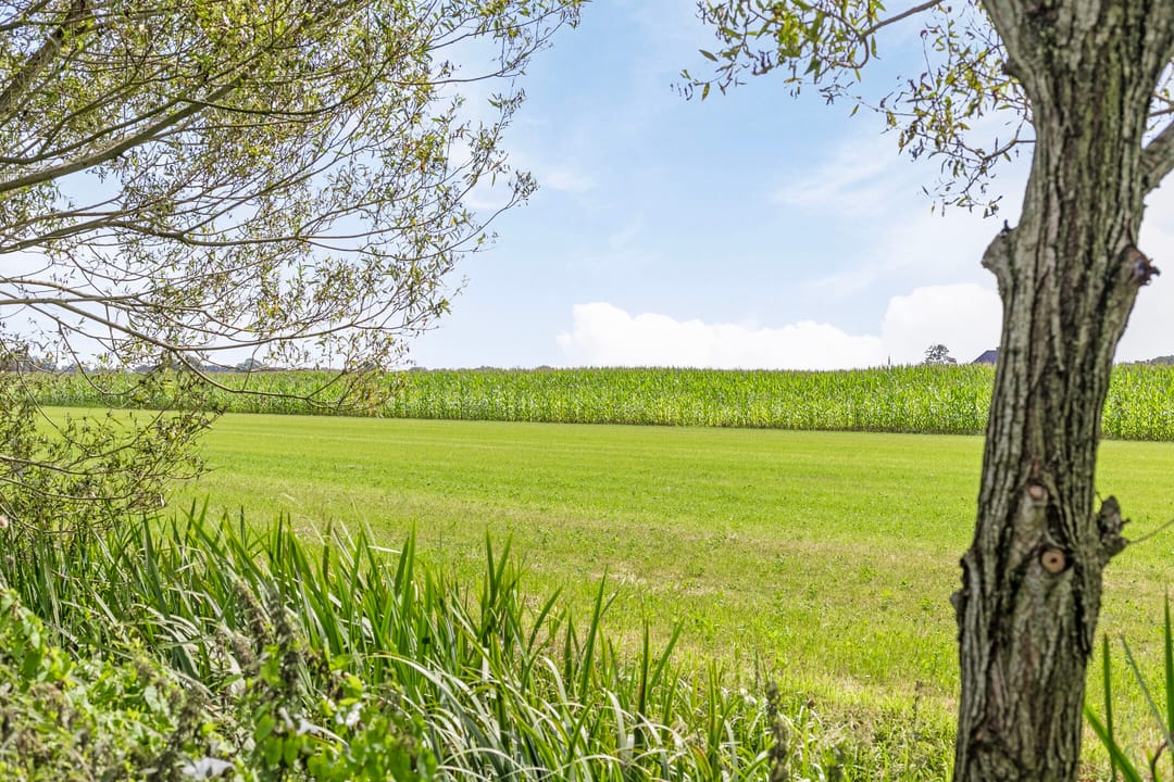 Foto 73 van Riegshoogtendijk 176