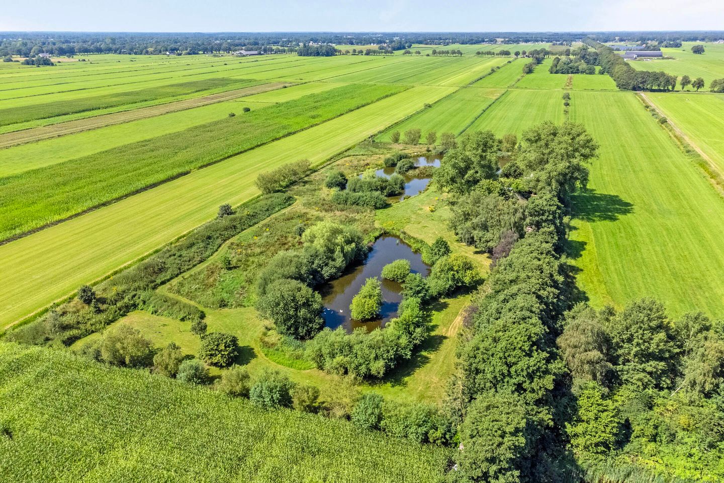 Foto 74 van Riegshoogtendijk 176