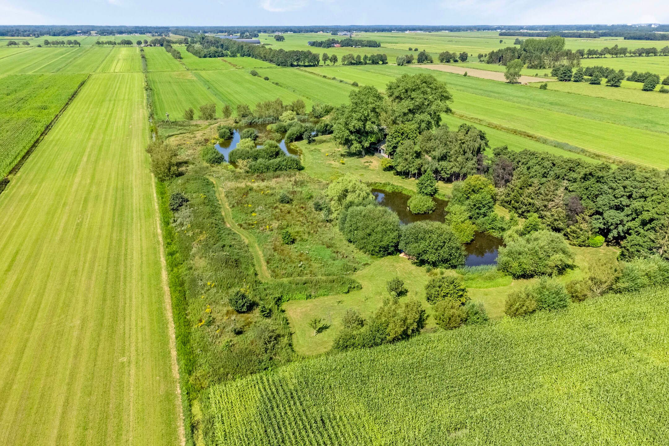 Foto 75 van Riegshoogtendijk 176