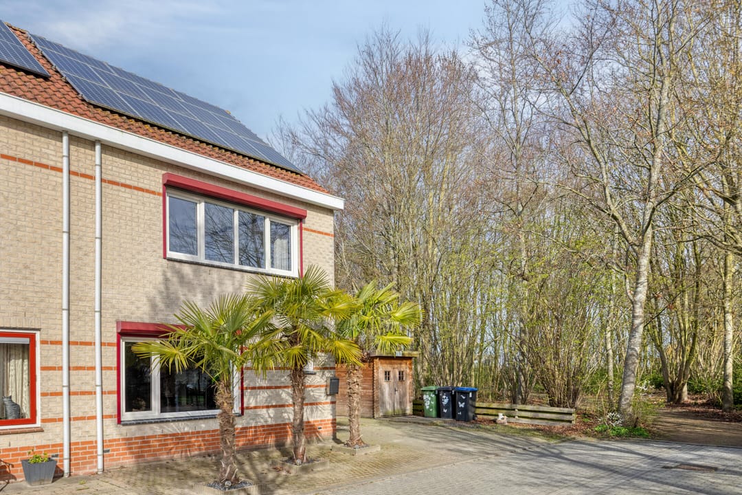 Foto 43 van Olmenstraat 19