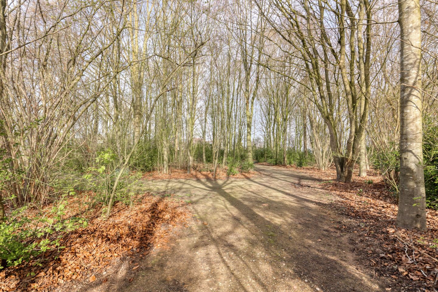 Foto 44 van Olmenstraat 19