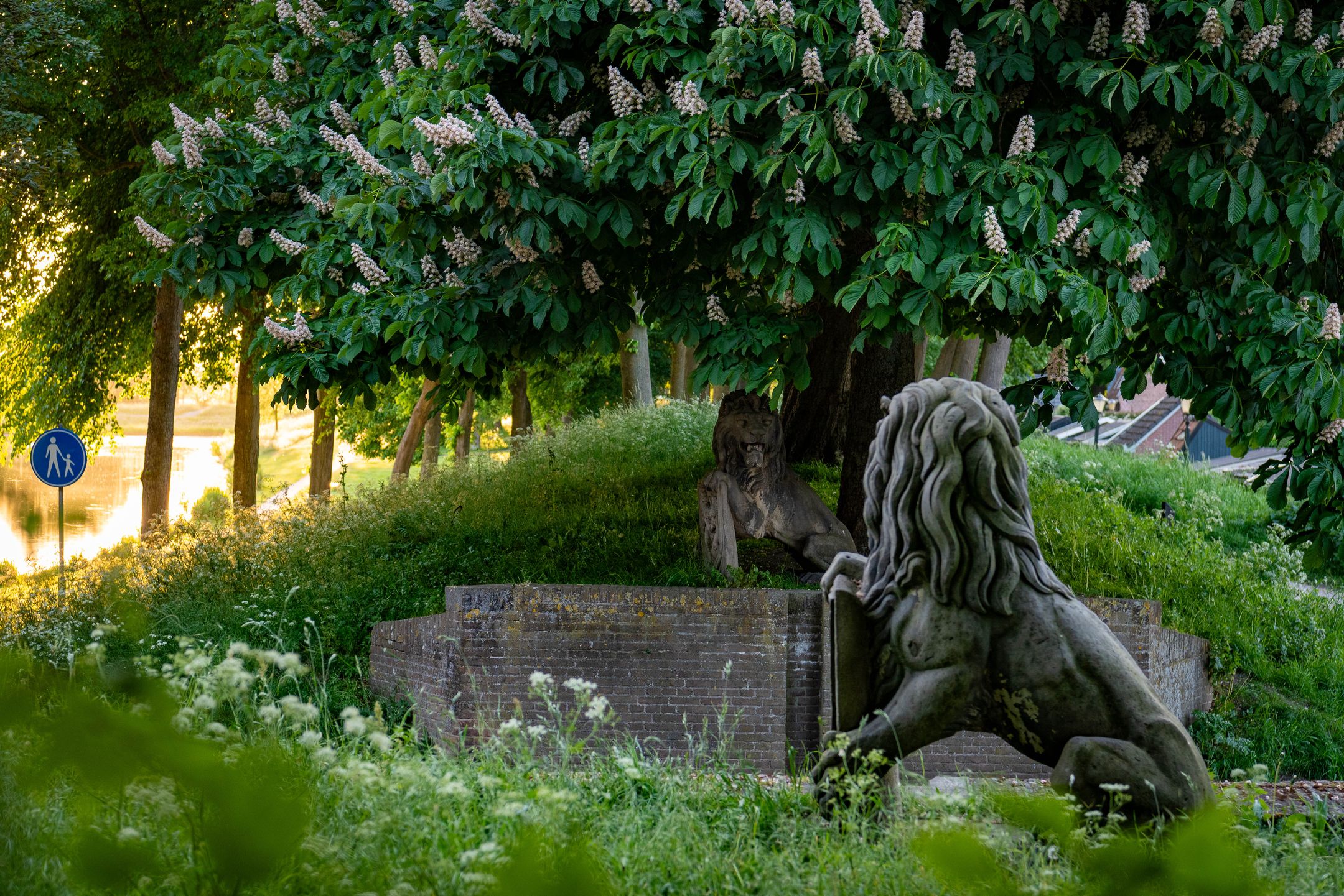 Foto 48 van Westerwalstraat 5