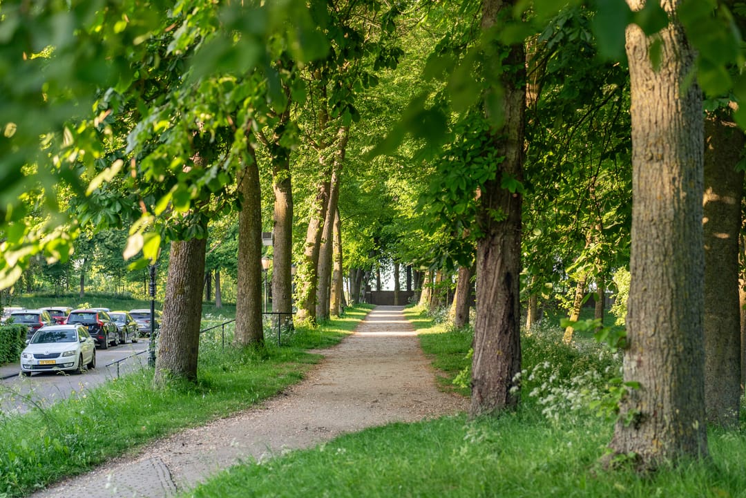 Foto 53 van Westerwalstraat 5