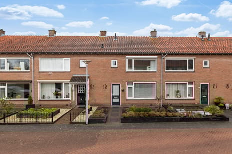 Lavendelstraat thumbnail