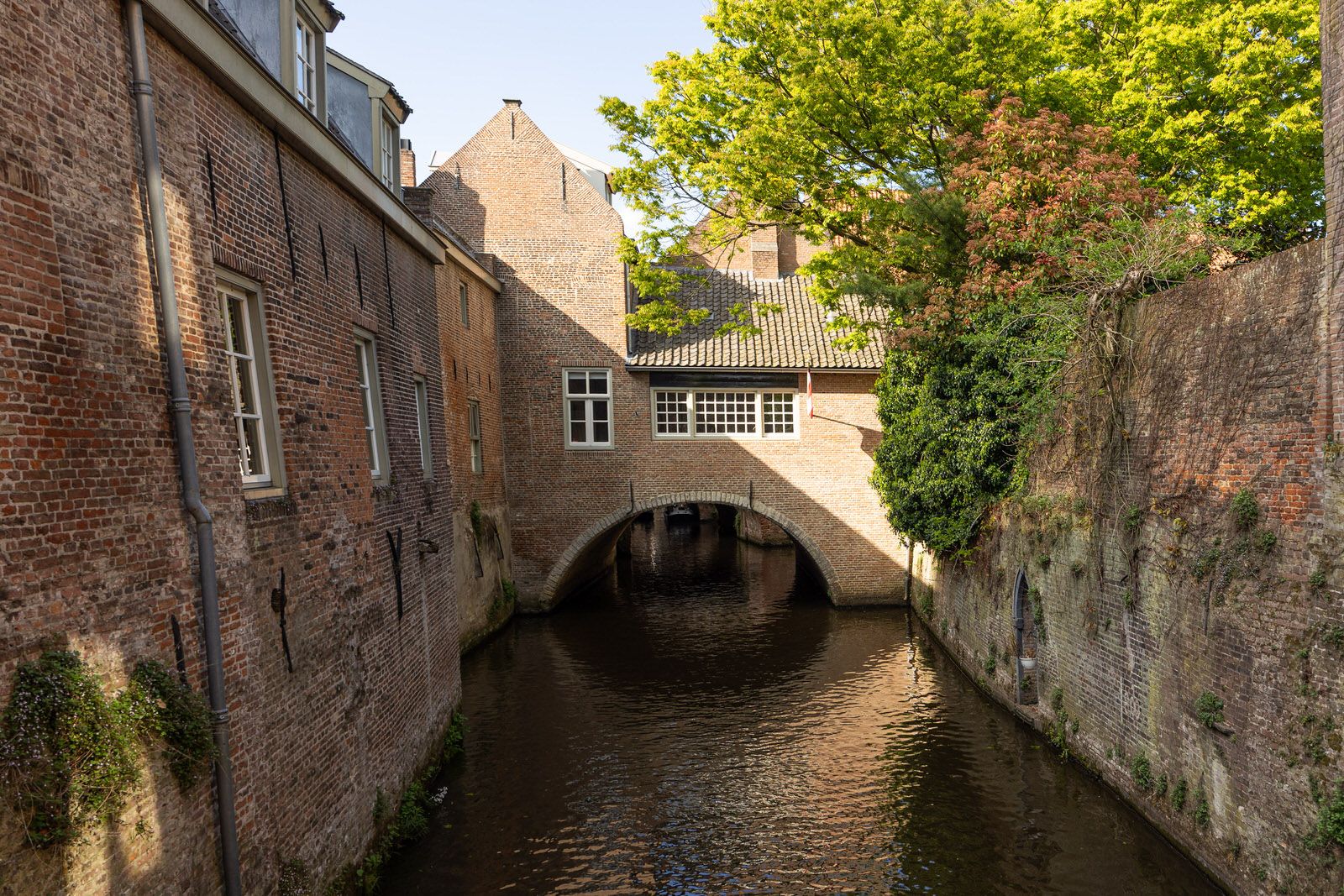 Foto 27 van Lamstraatje 1-A