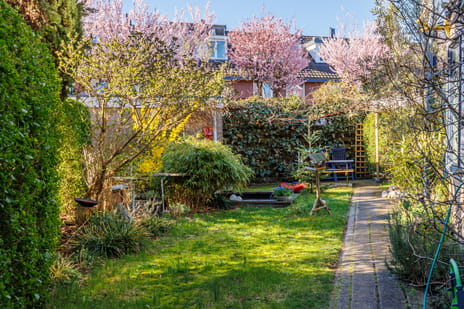 Bijenlaan 28-a secondary image