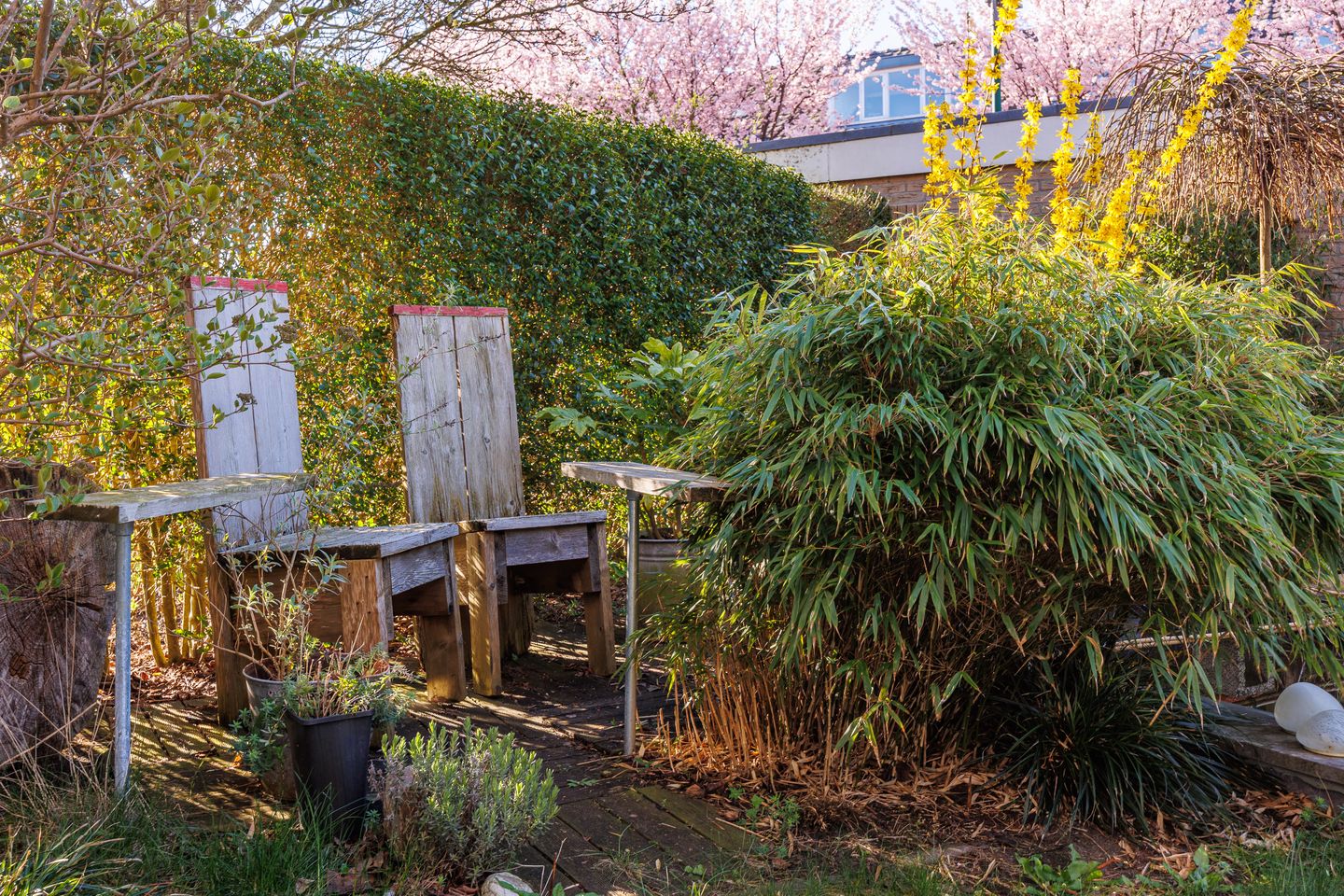 Foto 29 van Bijenlaan 28-A