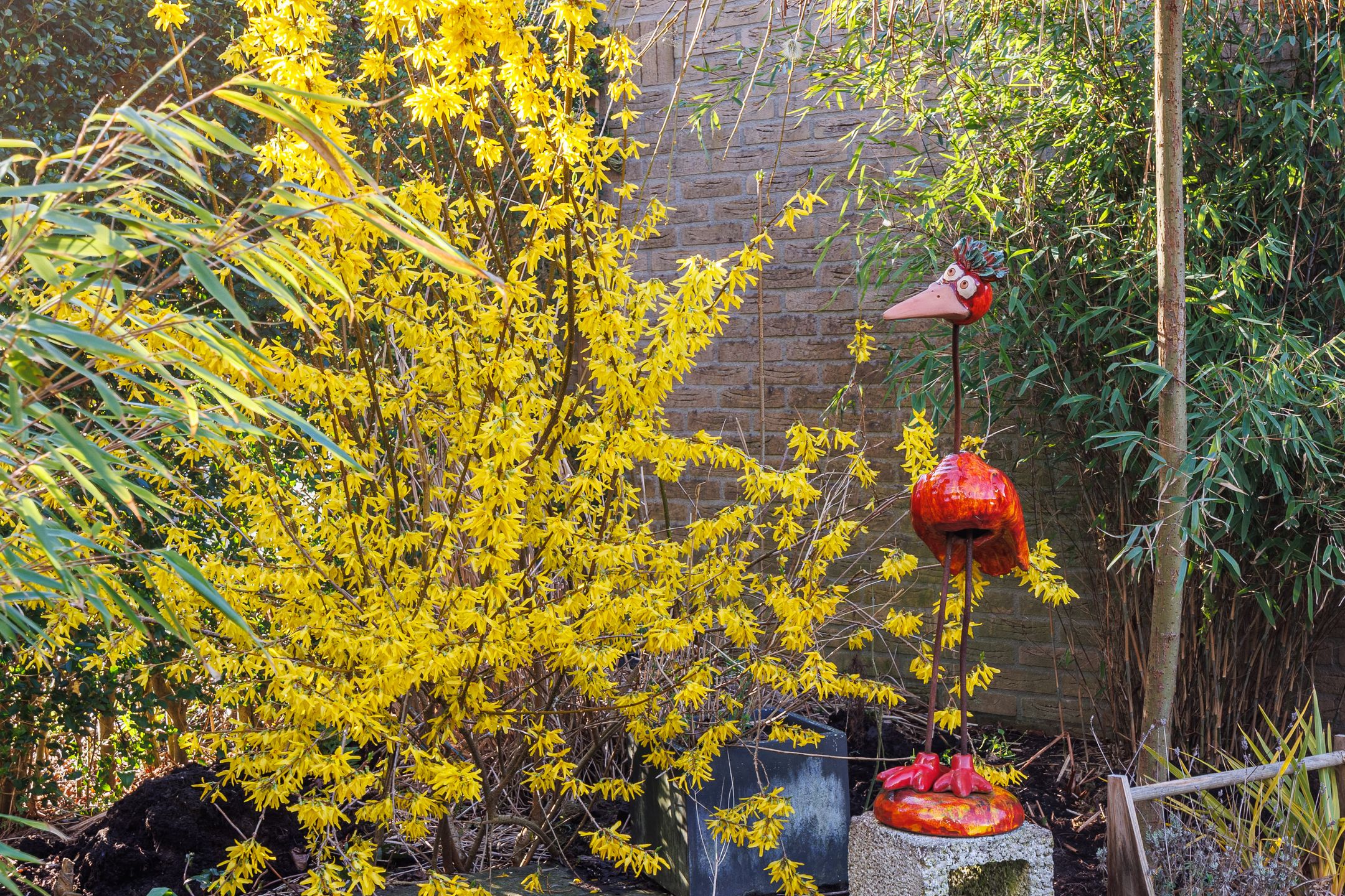 Foto 30 van Bijenlaan 28-A