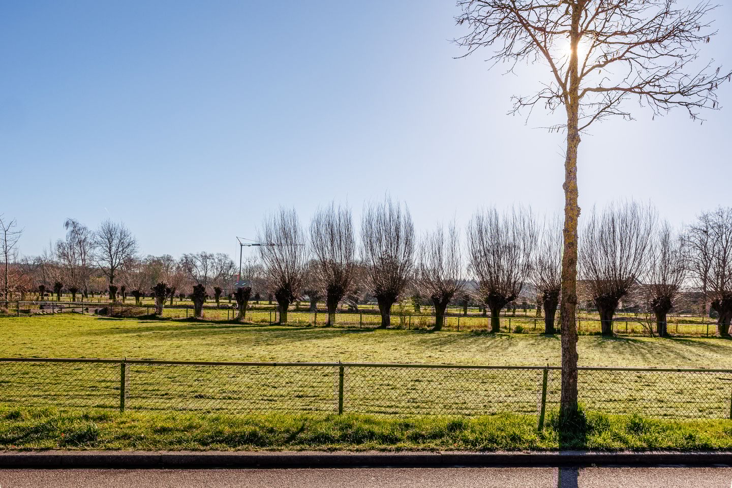 Foto 34 van Bijenlaan 28-A