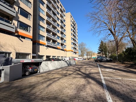 undefined main image