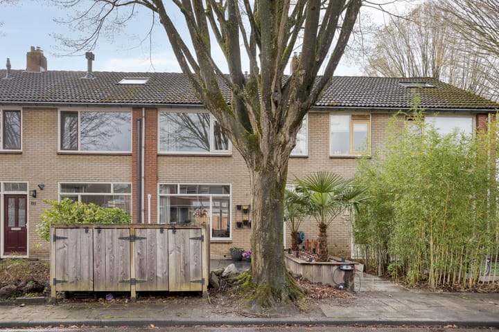 Foto 4 van van Suchtelensingel 45