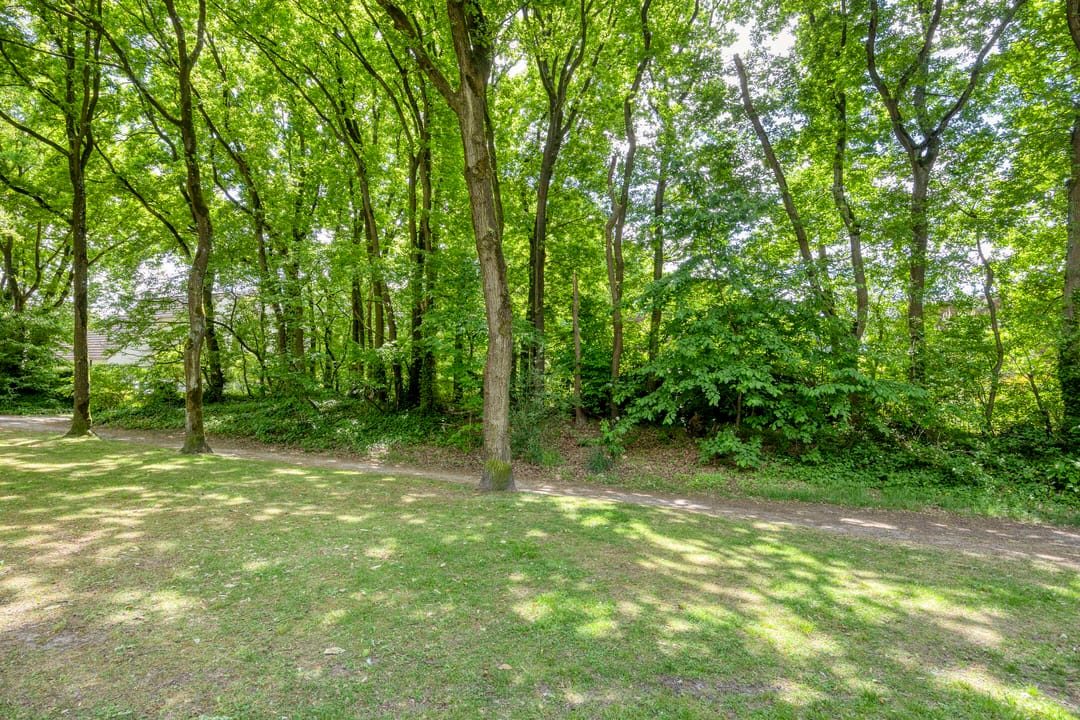 Foto 37 van Elandlaan 19