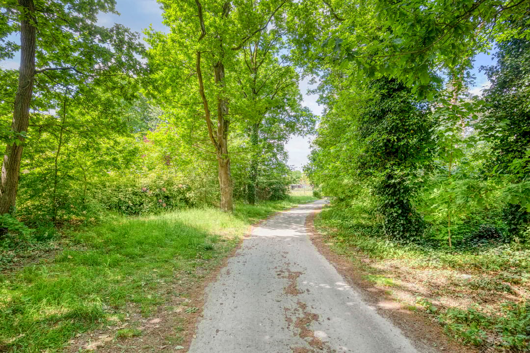 Foto 38 van Elandlaan 19