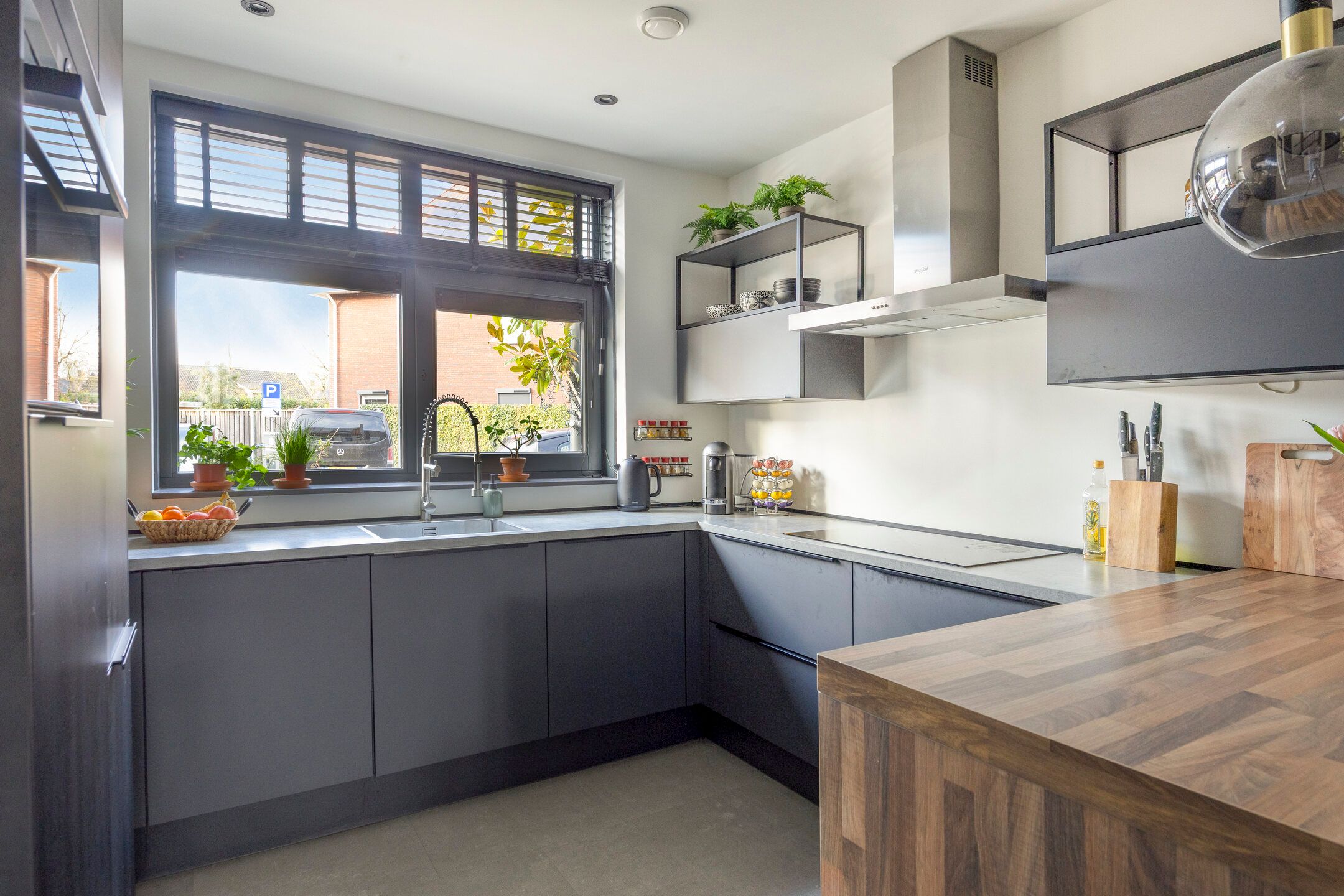 Foto 12 van Kattenstaart 18