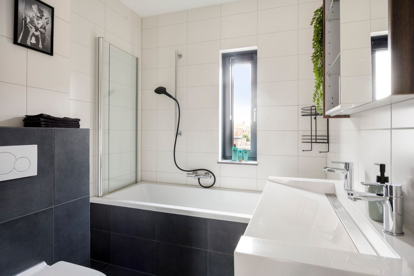 Foto 20 van Kattenstaart 18