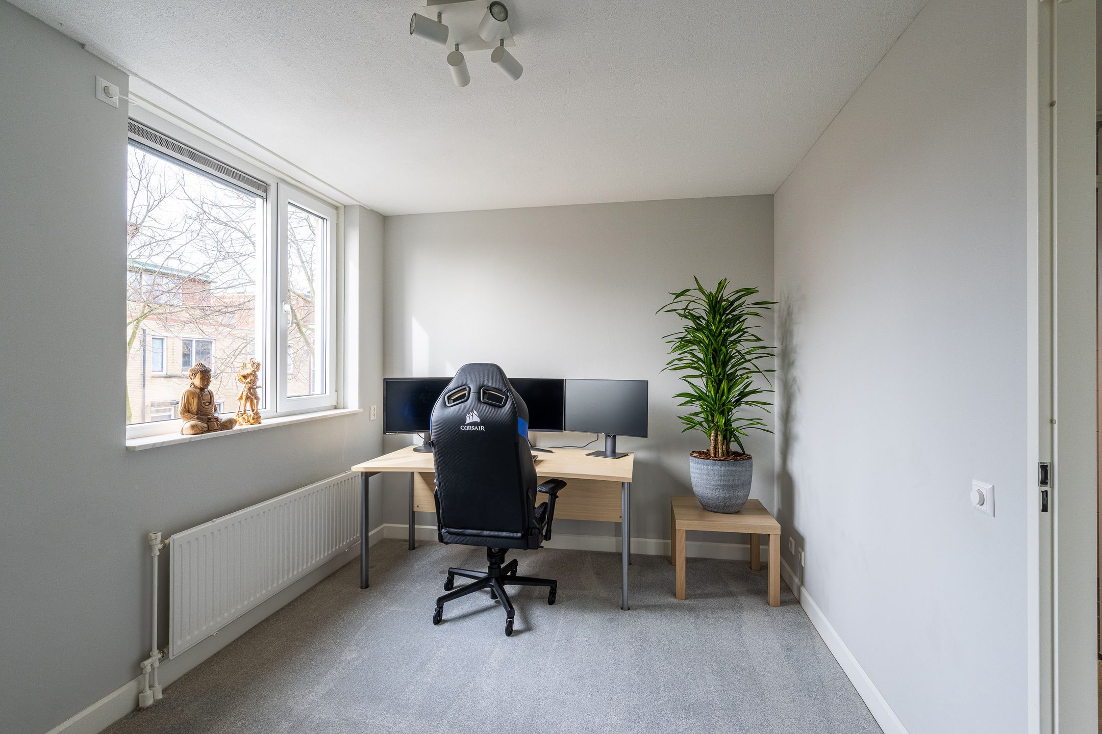 Foto 24 van De Boerstraat 38