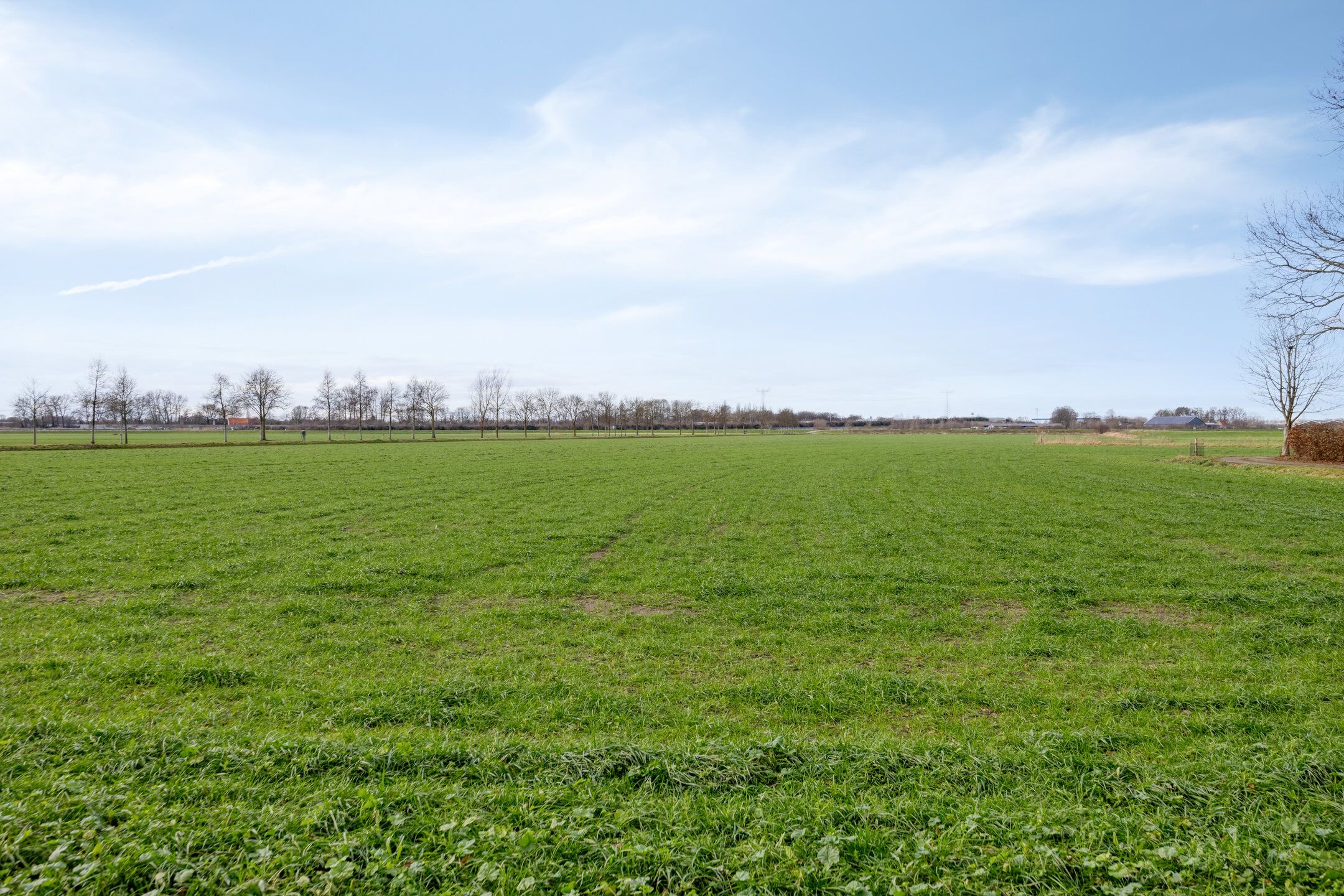 Foto 33 van Kattenstaart 18