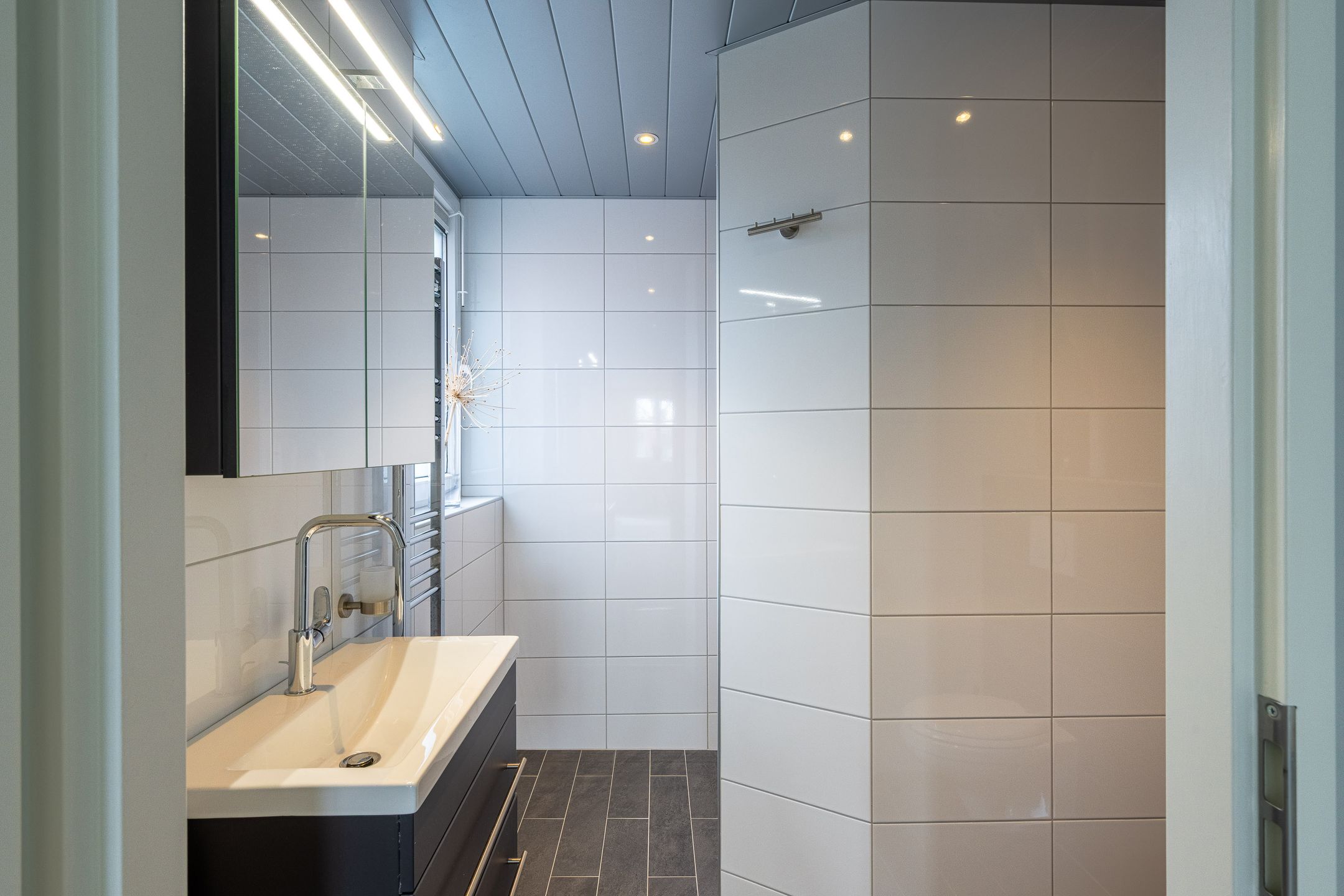 Foto 21 van De Boerstraat 38