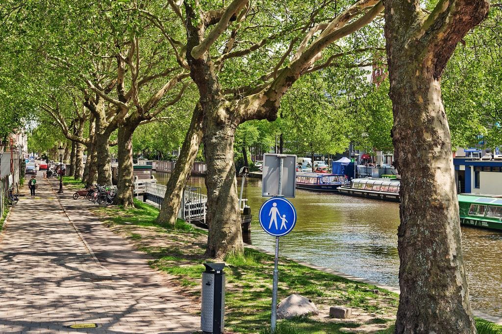 Foto 14 van Weteringschans 80-3