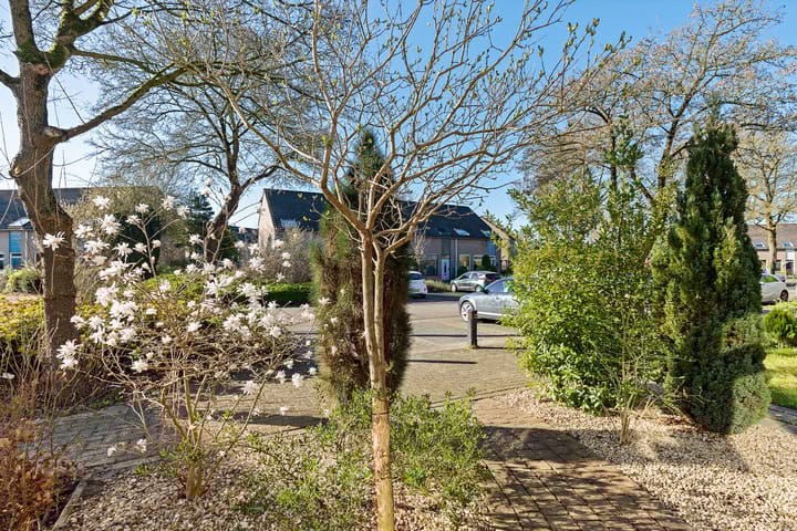 Foto 4 van Scheerdershof 29