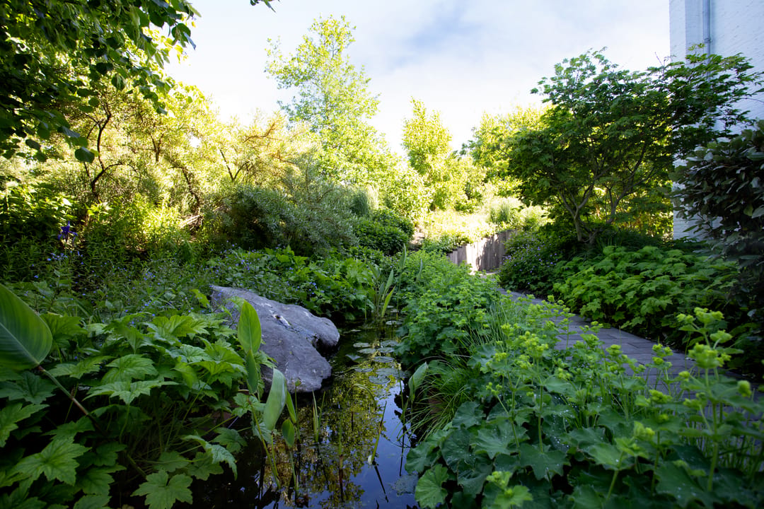 Photo 68 of Liduinalaan 2