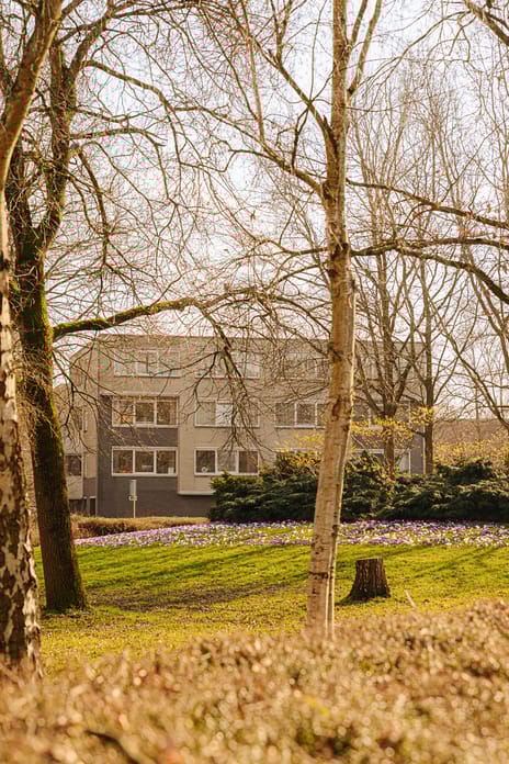 Kastanjelaan 209 secondary image