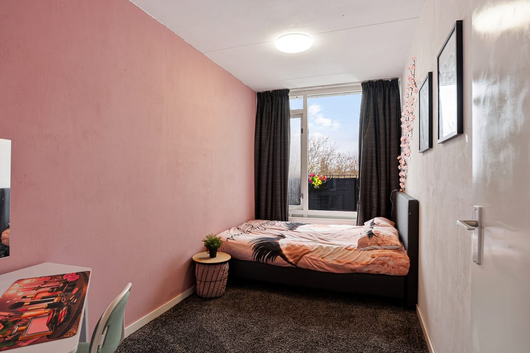 Foto 28 van Paul Scholtenrode 33