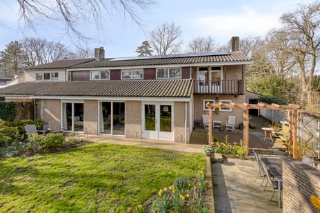 undefined main image