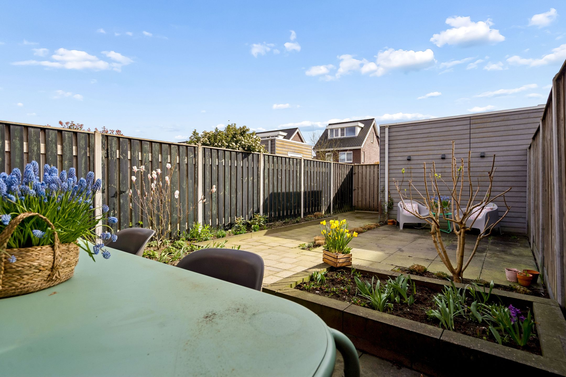 Foto 3 van Muntmeester 308