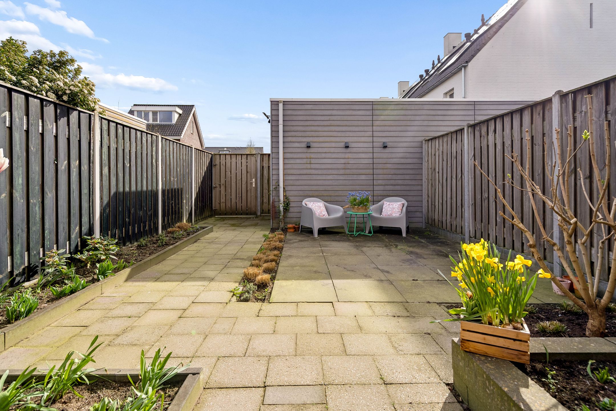 Foto 36 van Muntmeester 308